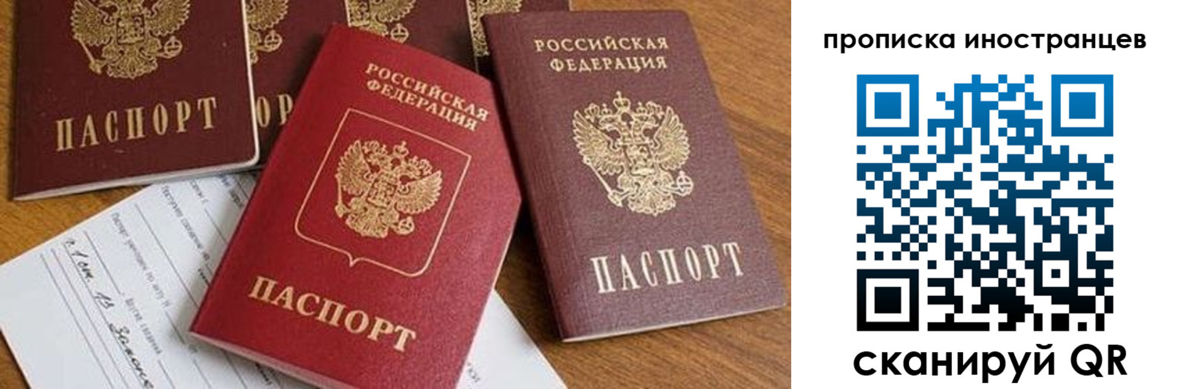 прописка в Нововоронеже